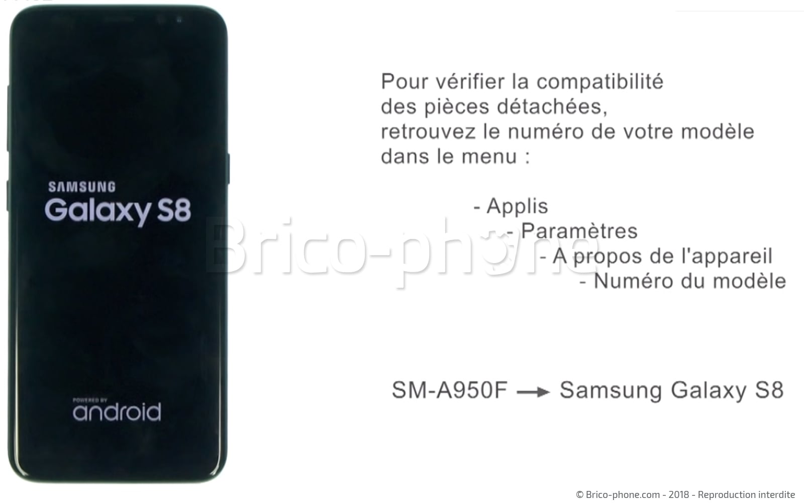 Changement de la vitre arrière sur Galaxy S8 photo 1